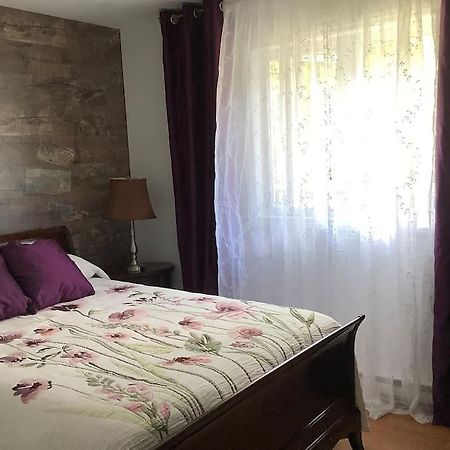La PatrieChalet Pres Du Mont Megantic别墅 外观 照片