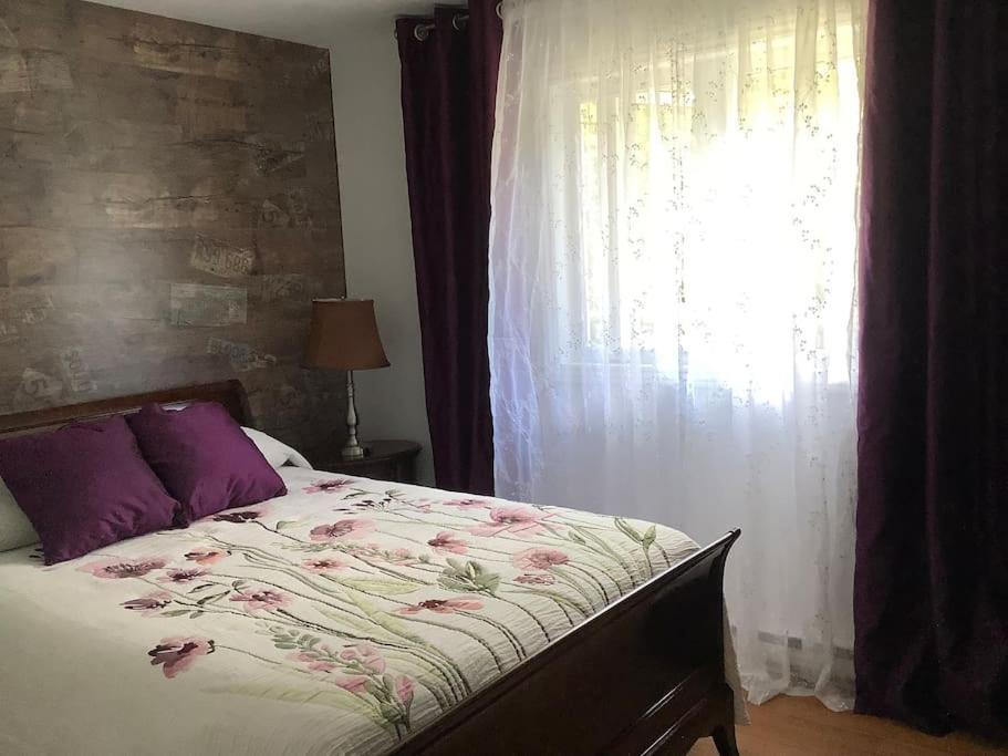 La PatrieChalet Pres Du Mont Megantic别墅 外观 照片